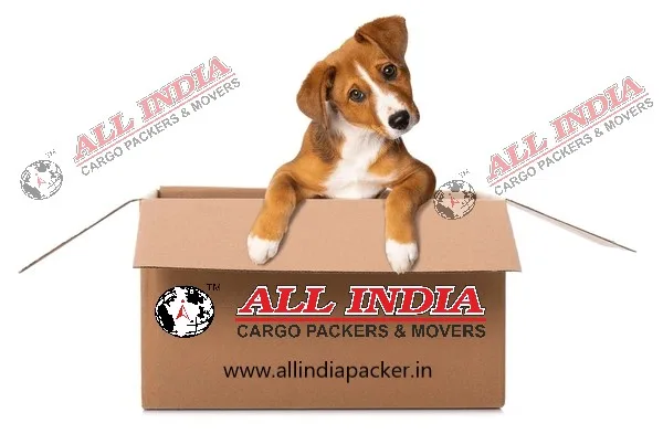 Moving with pets